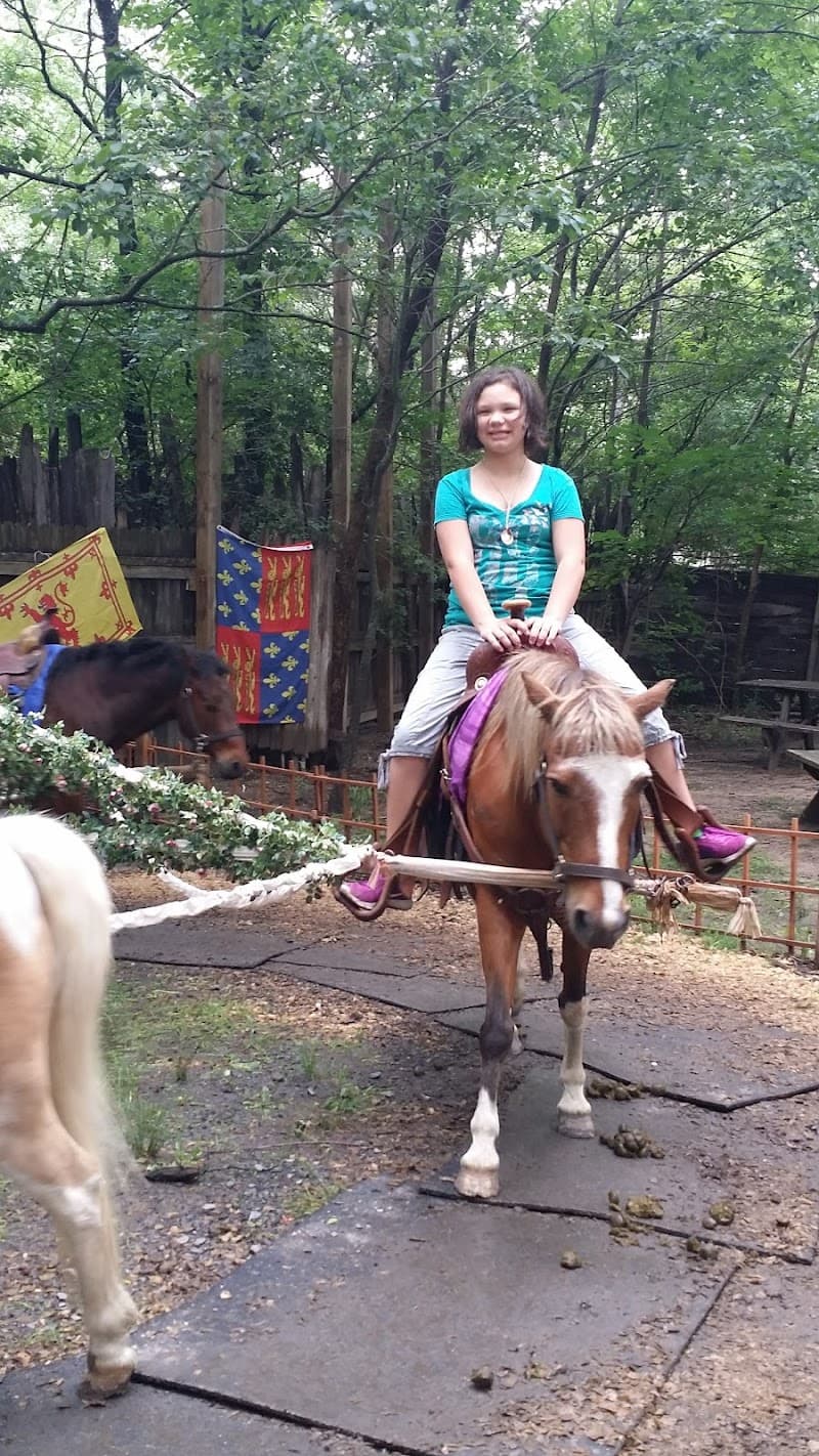 Tournament Arena photo 4