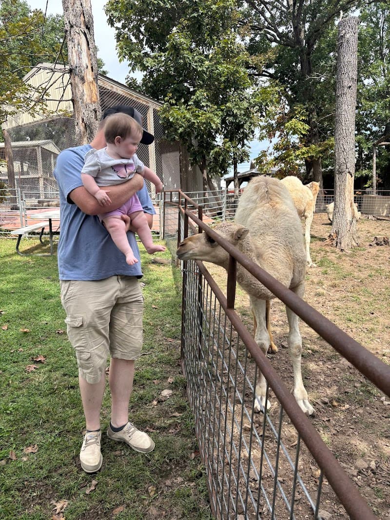 Branson's Promised Land Zoo photo 4