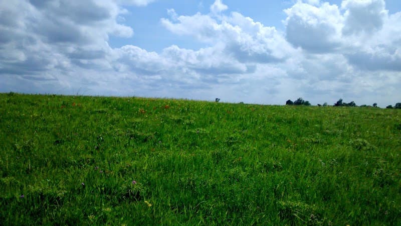 Mount Vernon Prairie photo 3