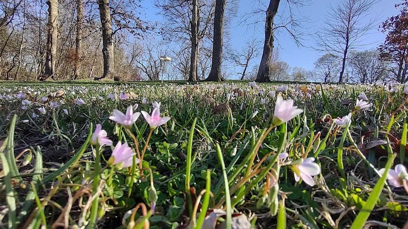 Monett South Park photo 5