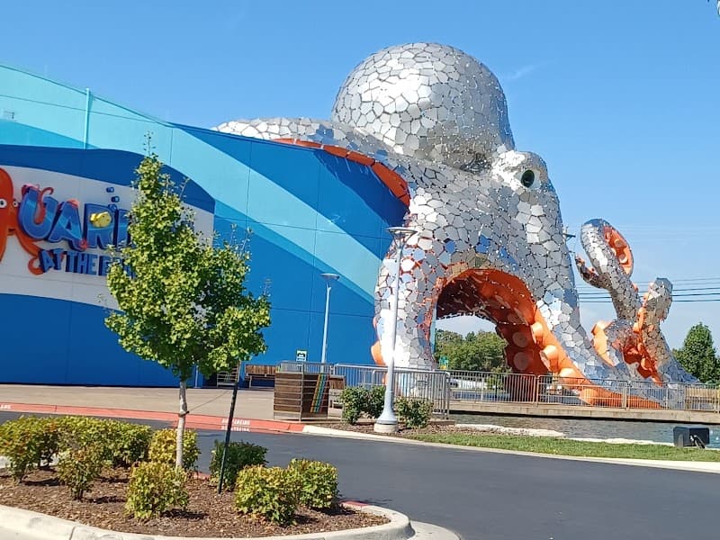 Branson Boardwalk photo 3