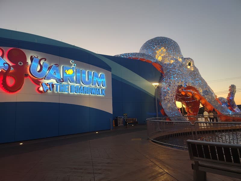 Branson Boardwalk photo 5