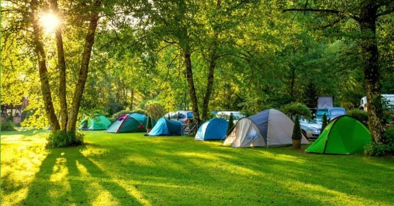 Eagle Bluff Resort photo 6