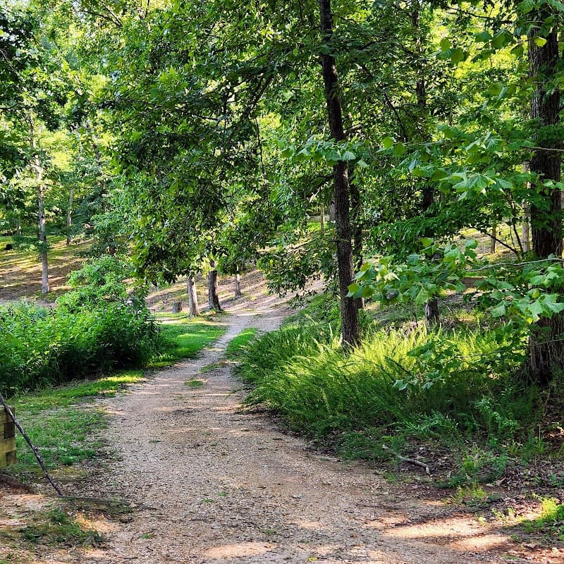 Lake of the Ozarks State Park photo 5