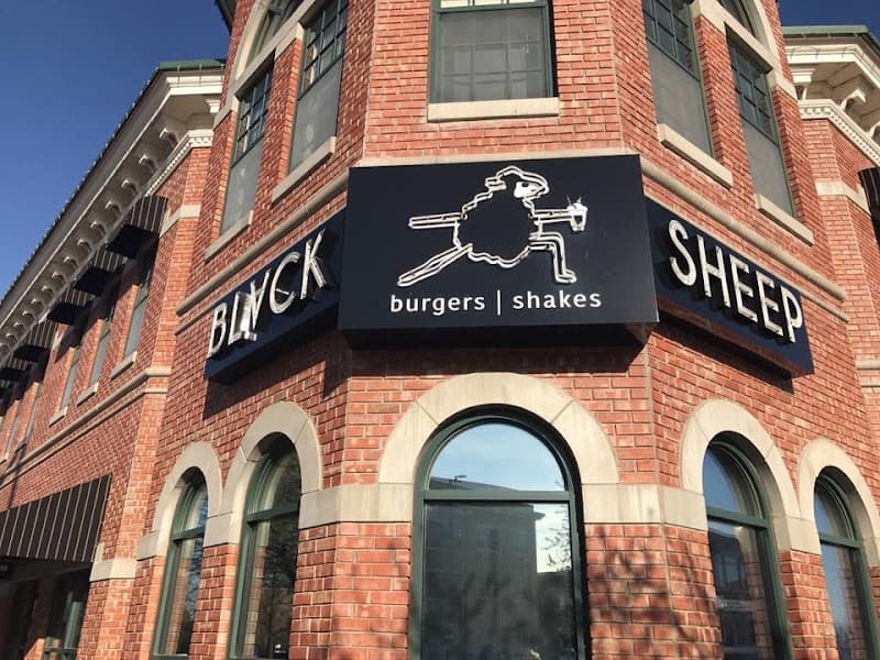 Black Sheep Burgers and Shakes photo 1