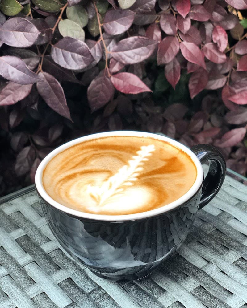 Guillermo's Gourmet Coffee photo 3