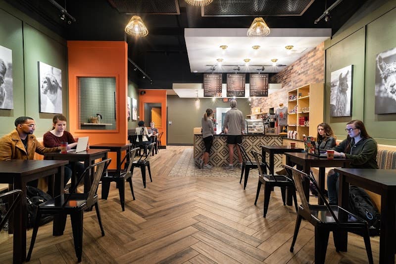 Crazy Llama Coffee photo 2