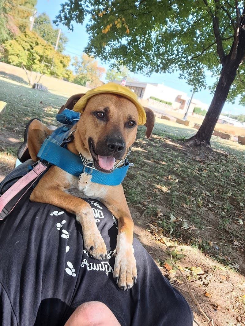 Sequoyah City Park photo 6