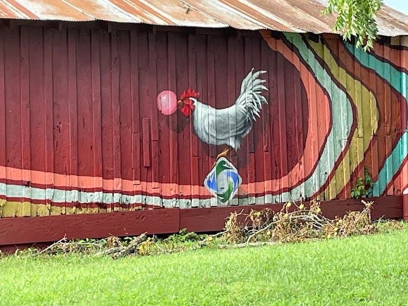 Skating horse barn photo 4