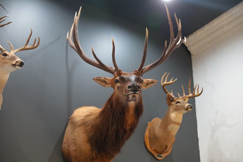 The Lodge on Main photo 6