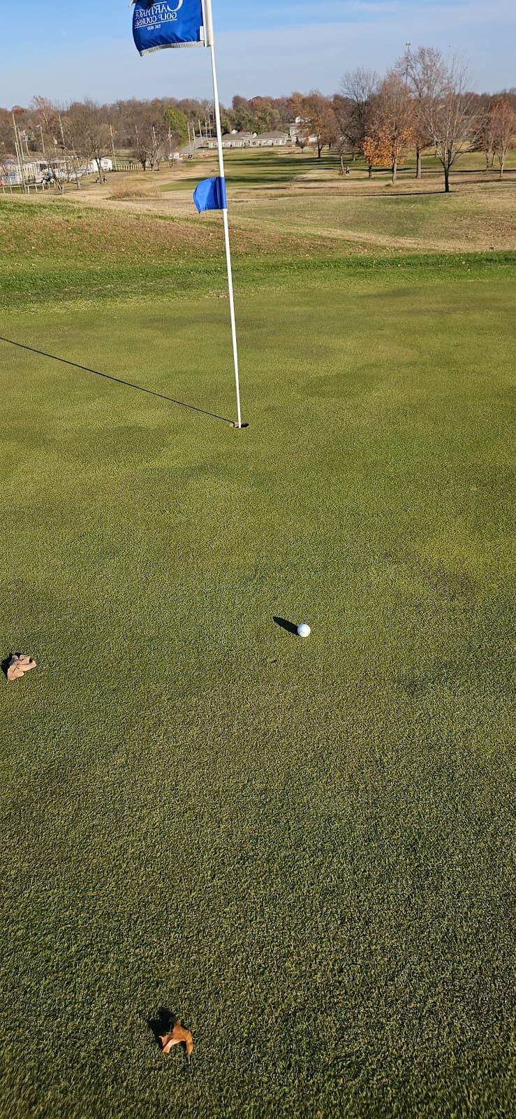 Carthage Municipal Park photo 6