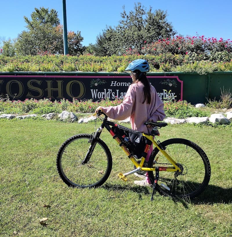 World's Largest Flowerbox photo 6