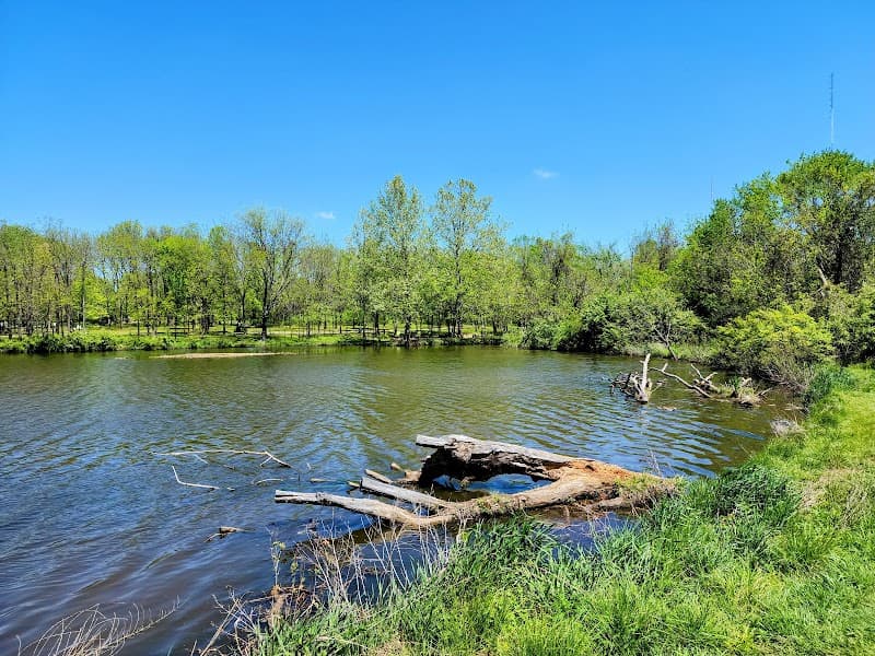 Nathanael Greene/Close Memorial Park photo 6