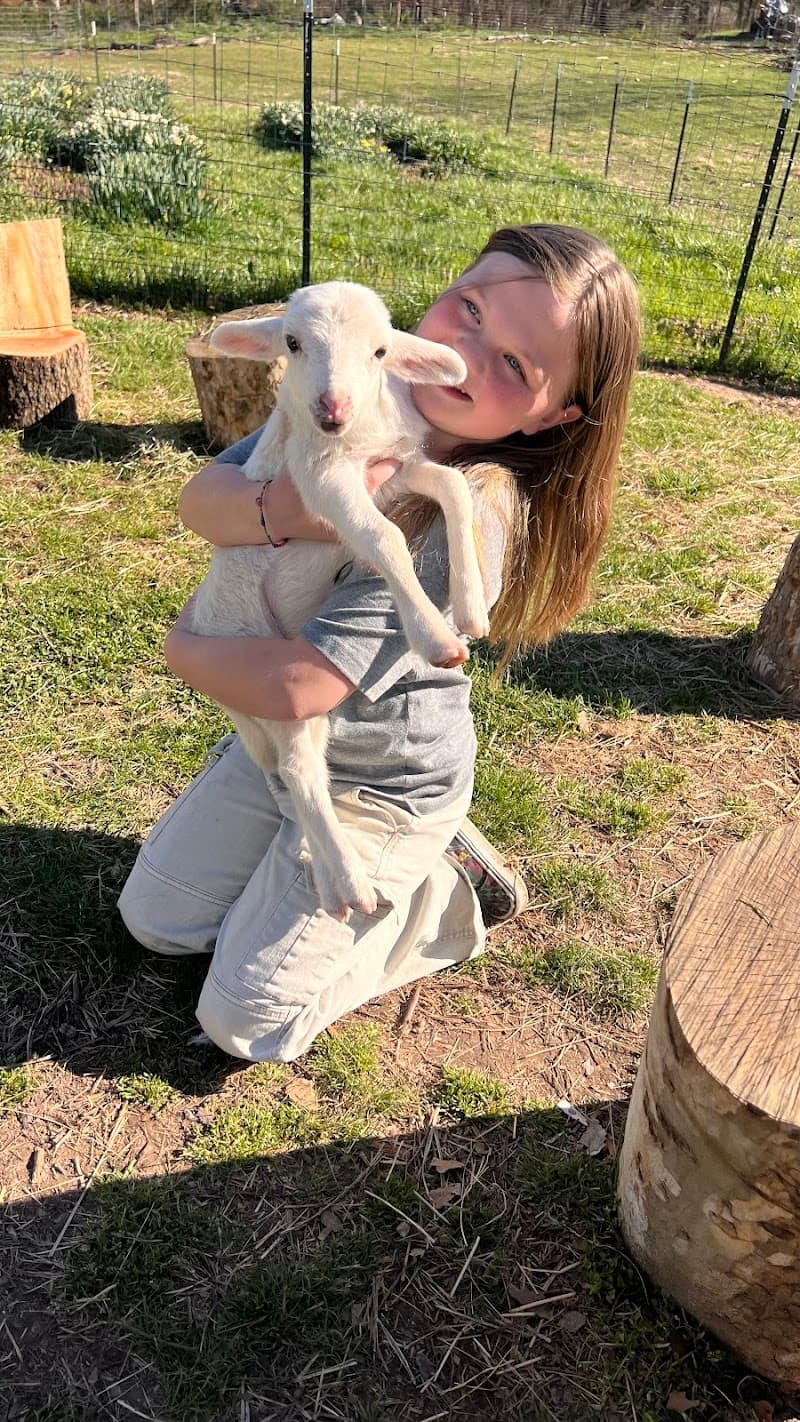 Gooseberry Bridge Farm photo 4