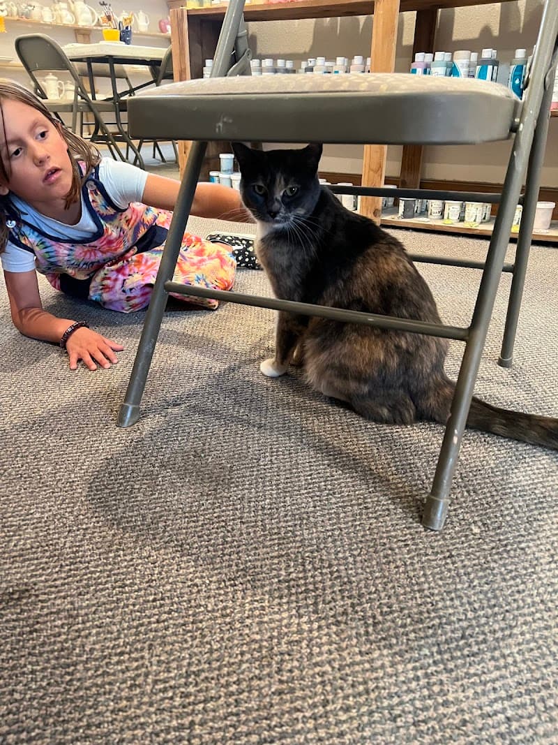 Down To Earth Ceramics Painting Studio photo 1