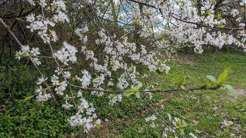 Frisco Highline Trail photo 5