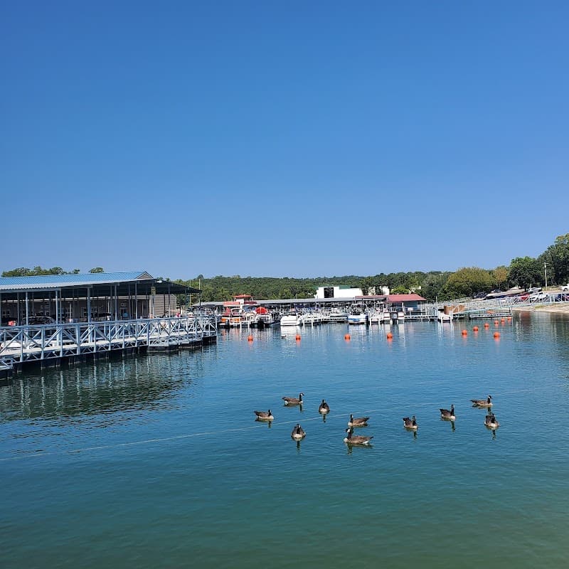 Port of Kimberling Marina photo 2