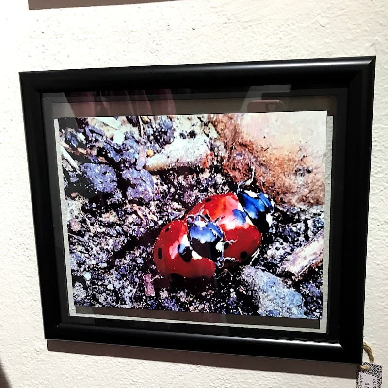 Tahlequah Creates photo 6