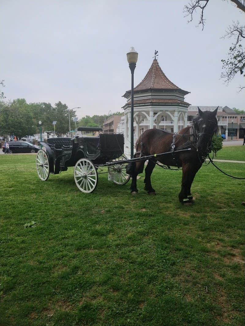 Orange Sky Carriage Rides LLC. photo 2