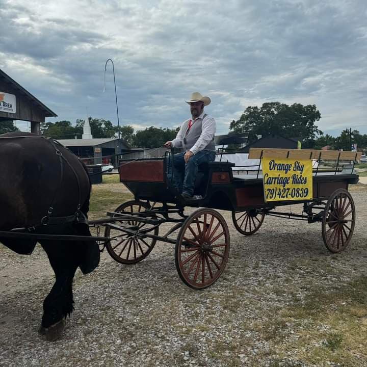 Orange Sky Carriage Rides LLC. photo 5