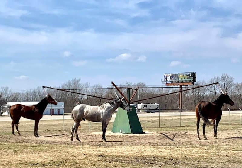 Cherokee Casino Will Rogers Downs photo 4