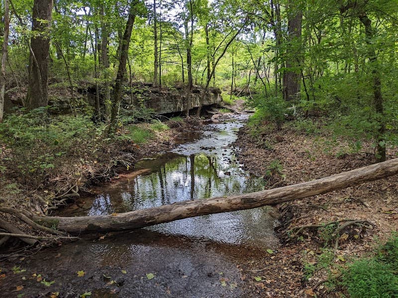Tanyard Creek Nature Trail photo 5