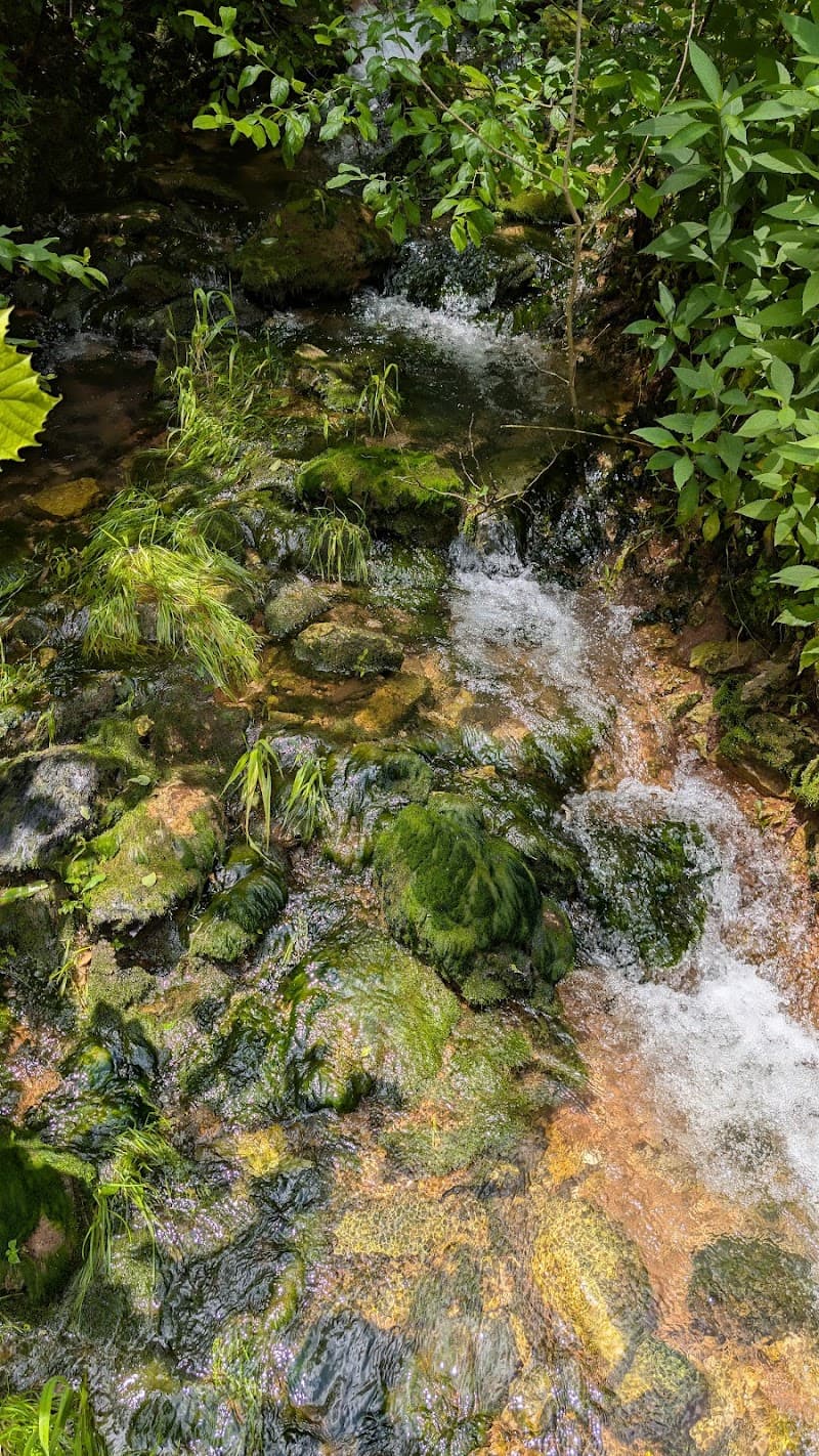 Indian Springs photo 6