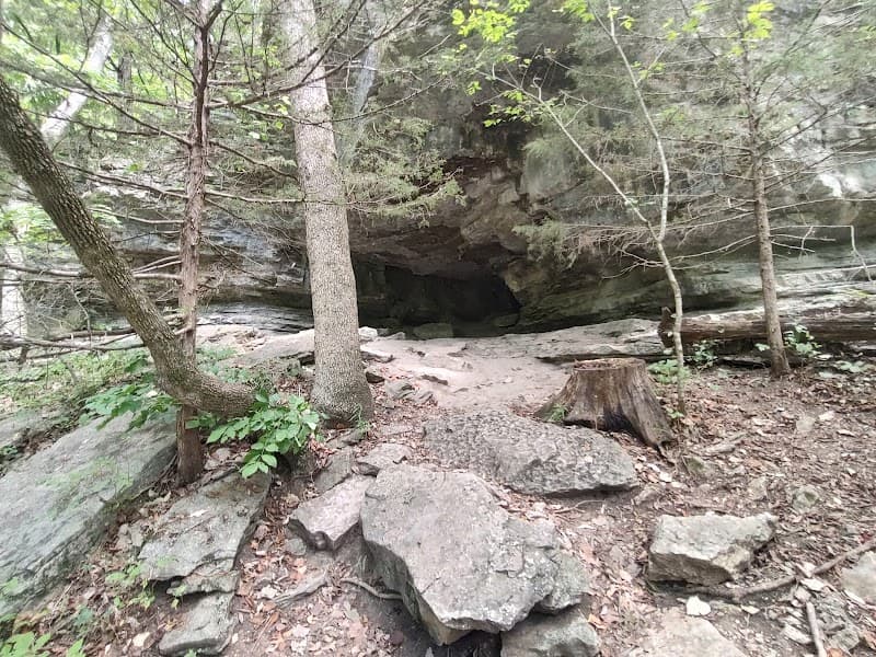 Bella Vista Recreation Center photo 5