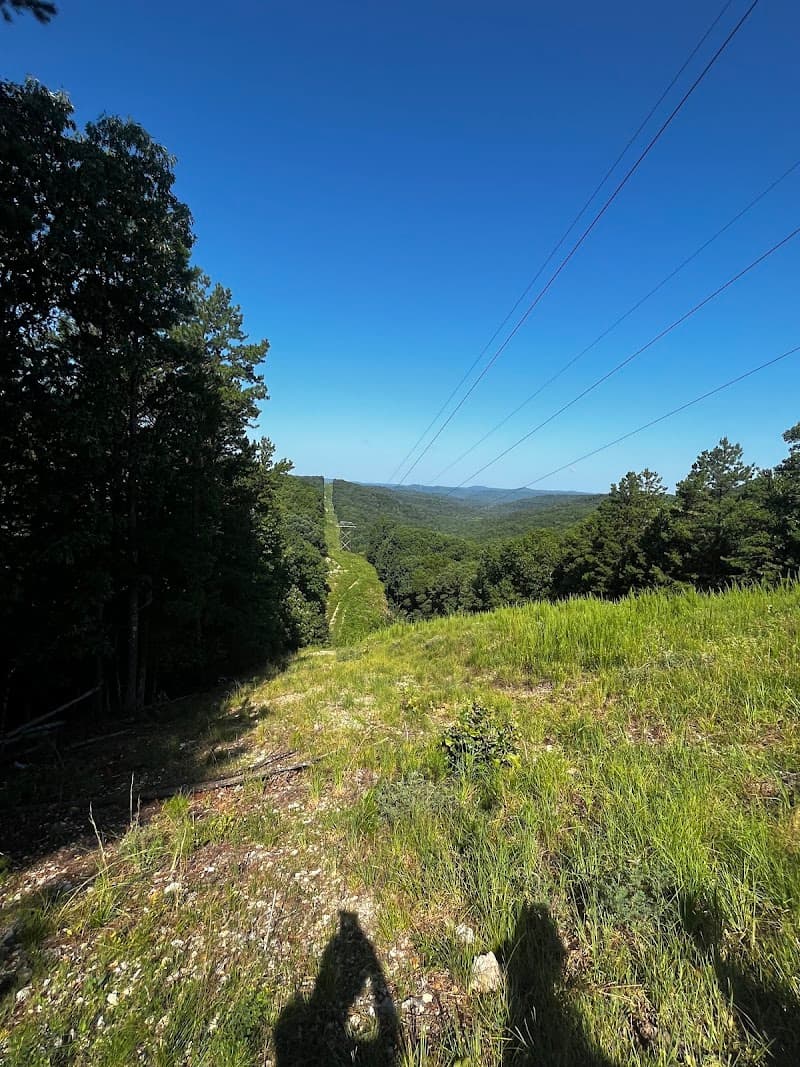 Ozark Mountain Ziplines photo 6