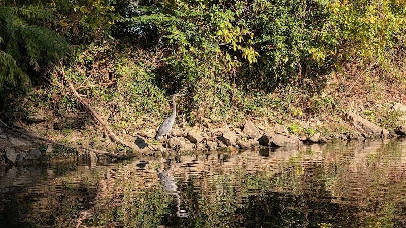 White River Kayaking & Outdoors photo 6