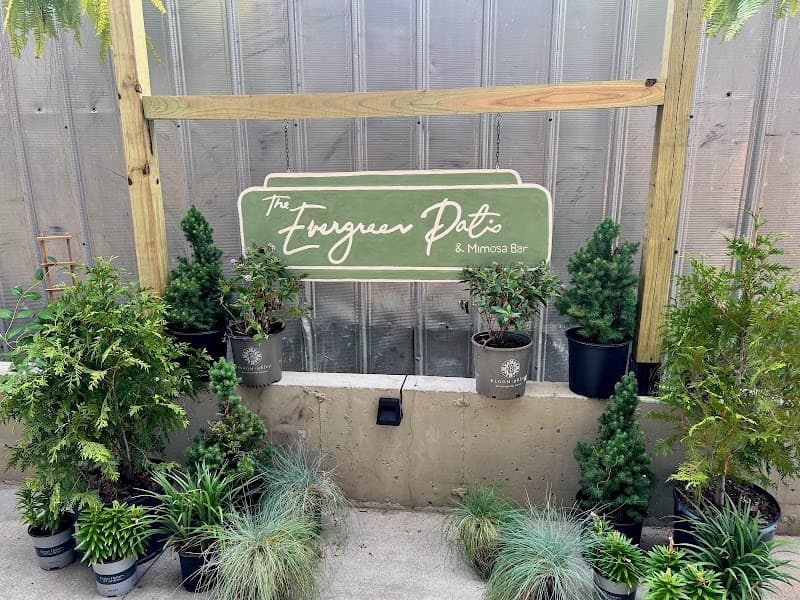 The Evergreen Patio & Mimosa Bar photo 6