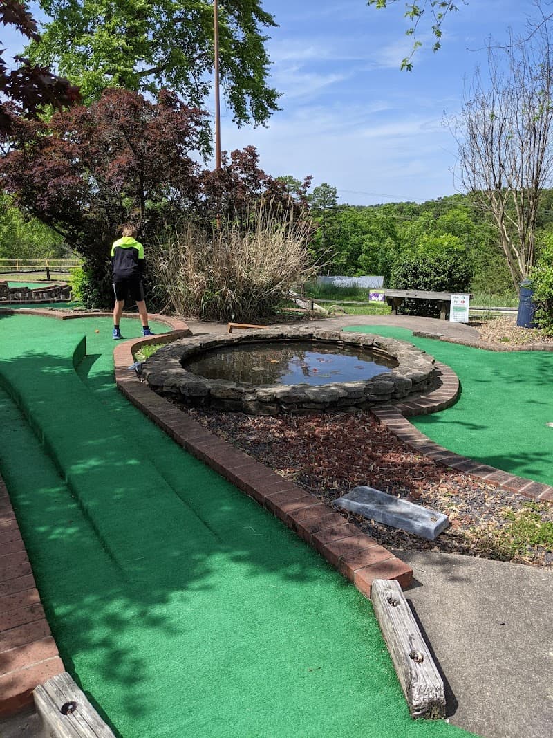 Turtle Back Ridge Family Fun Park photo 2