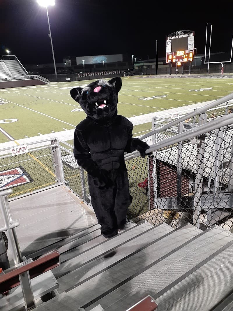 Panther Stadium photo 5