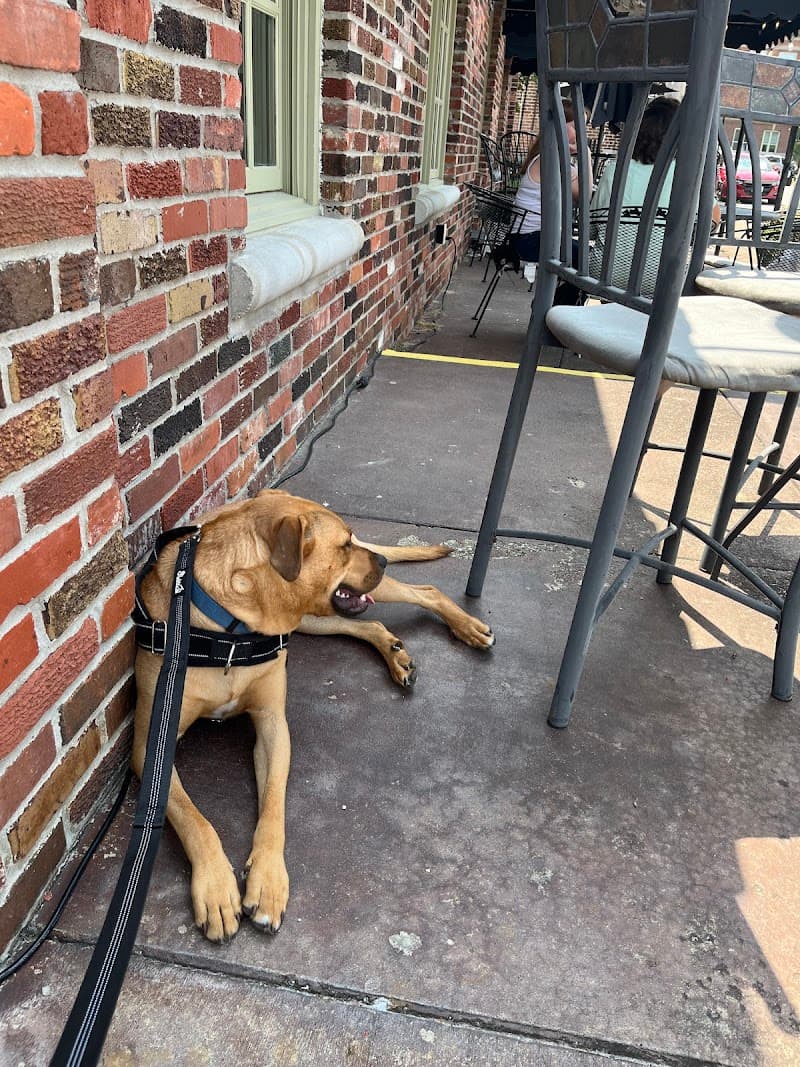 Lolli's (Off the Square) photo 6