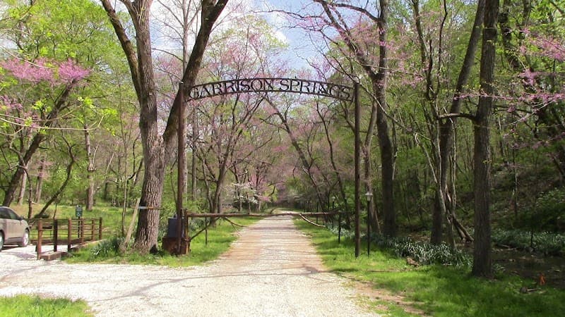 Garrison Springs Community Forest photo 4