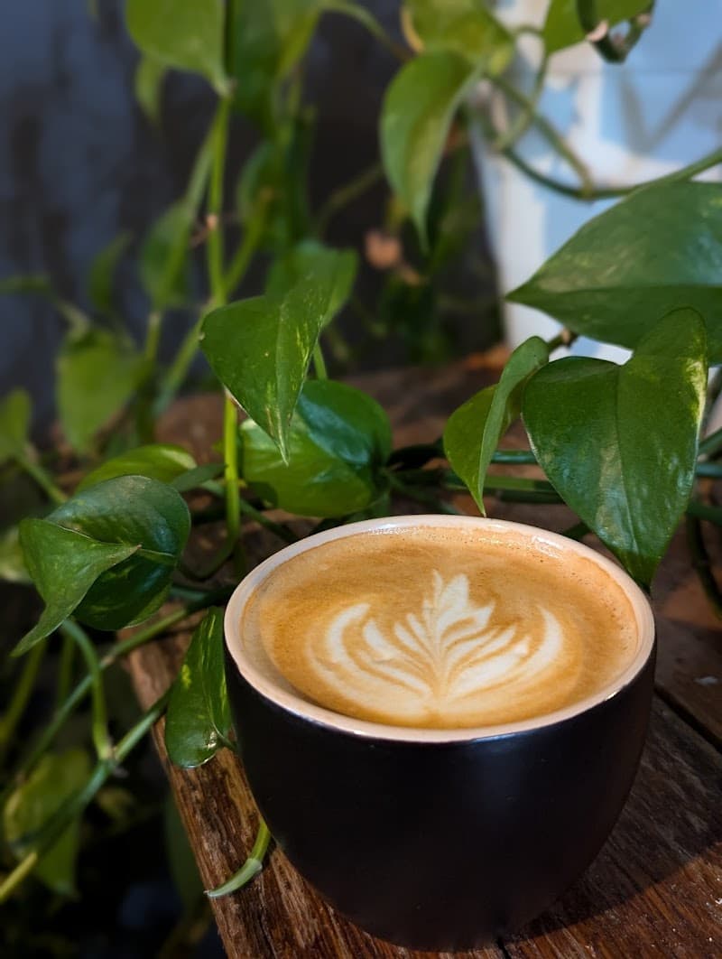 Roots Coffee Bar photo 5