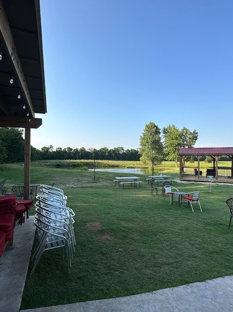 Christine’s Vineyard photo 2