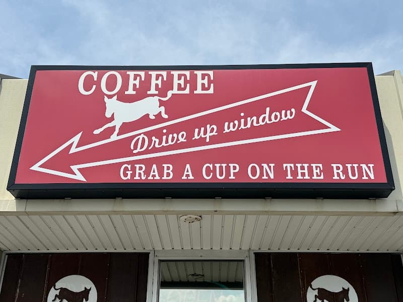 Dancing Mule Coffee Company photo 5