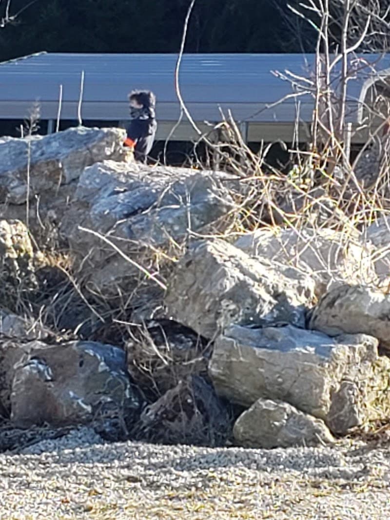 The Rock Airsoft photo 4