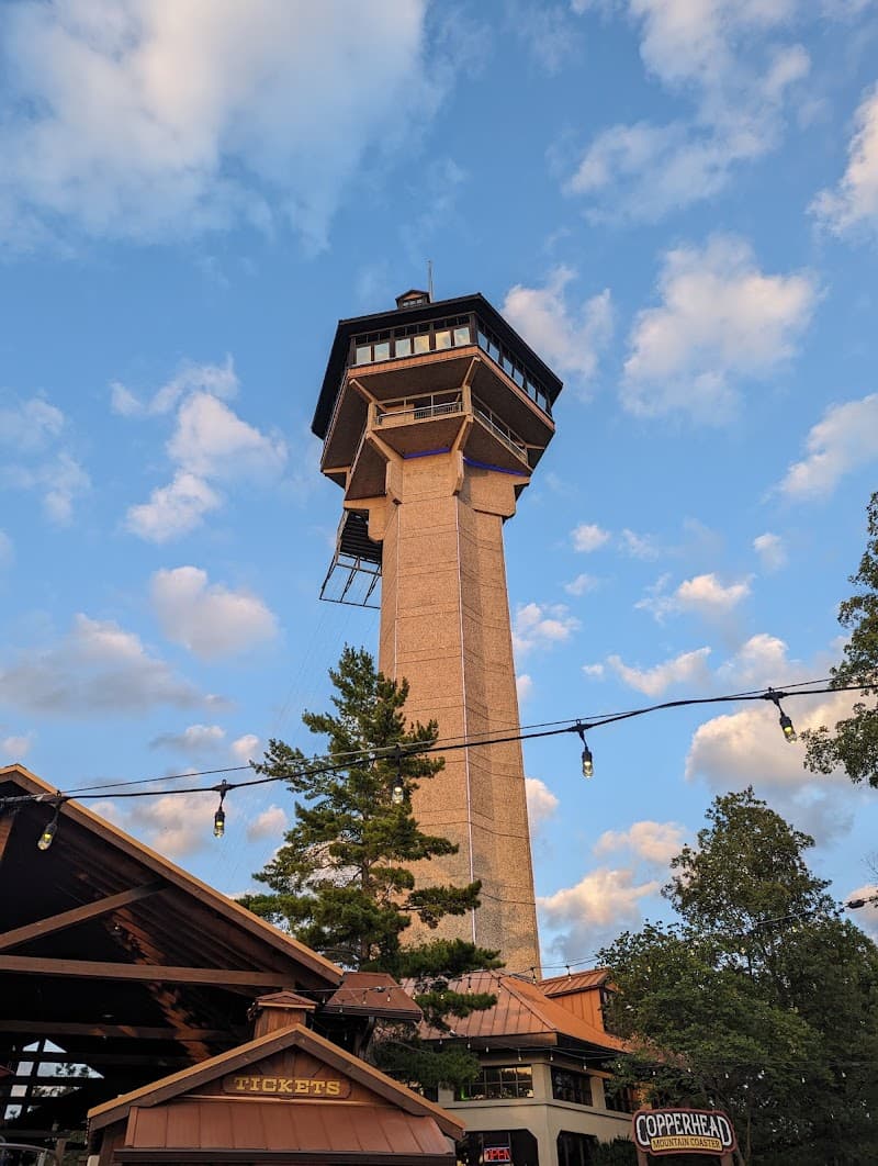 Copperhead Mountain Coaster photo 4