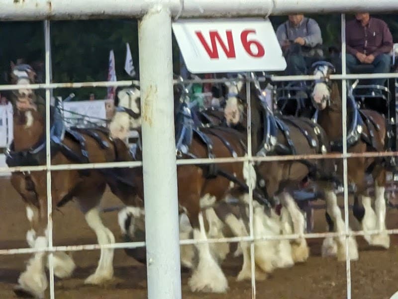 Will rogers Rodeo Grounds Claremore OK photo 6