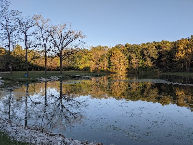 Ritter Springs Park photo 3