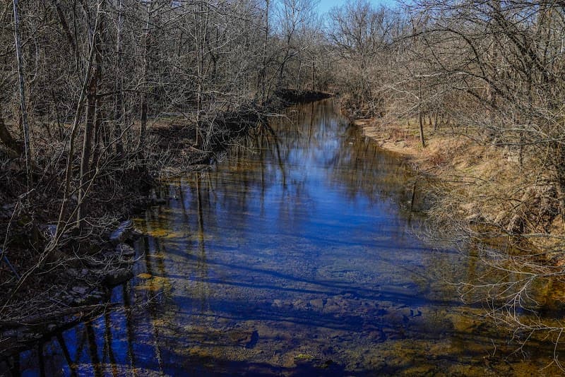 Ritter Springs Park photo 6