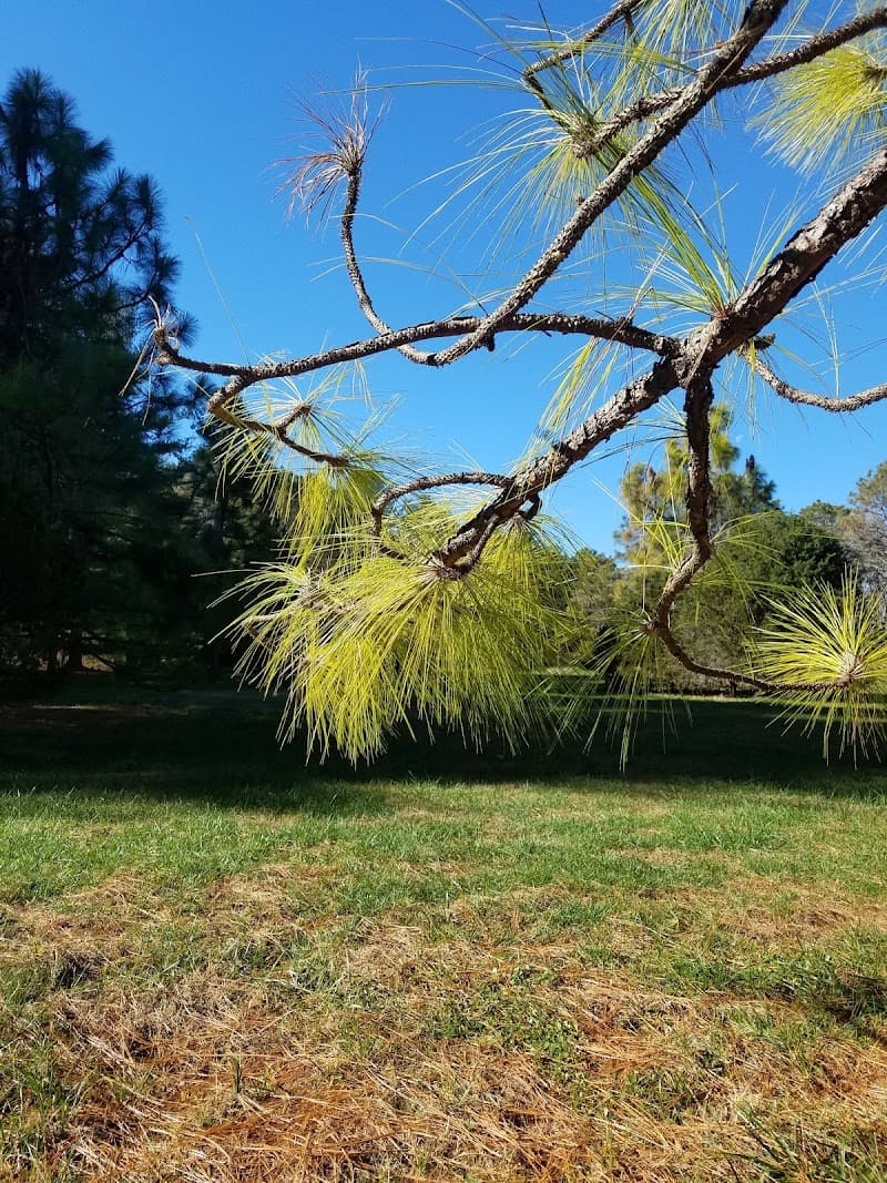 Lovett Pinetum photo 5