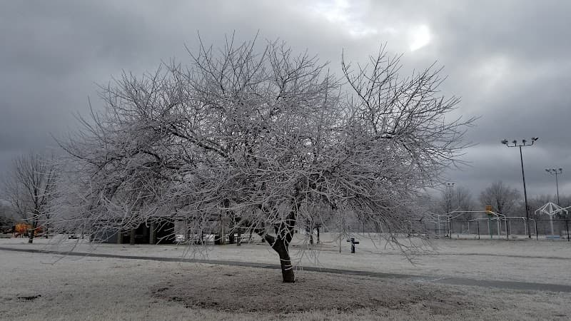 Jackson Street Park photo 5