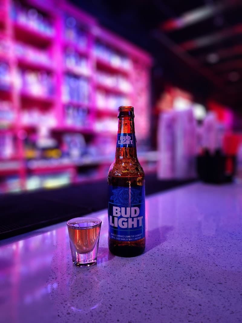 Pink XO Night Club photo 3