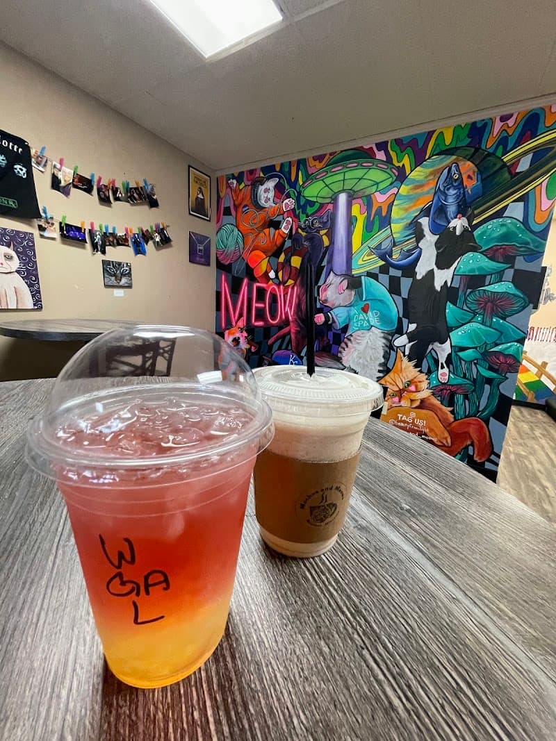 Mochas and Meows photo 3