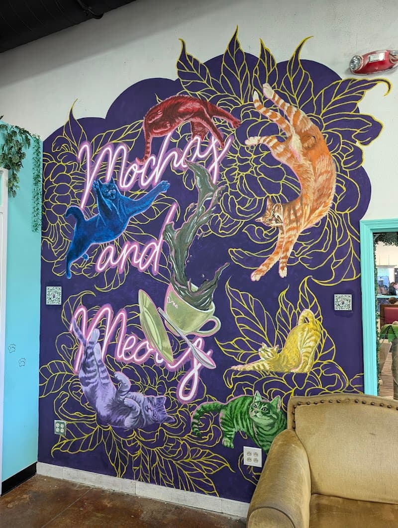 Mochas and Meows photo 5