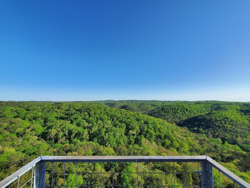 Razorback Tower photo 5