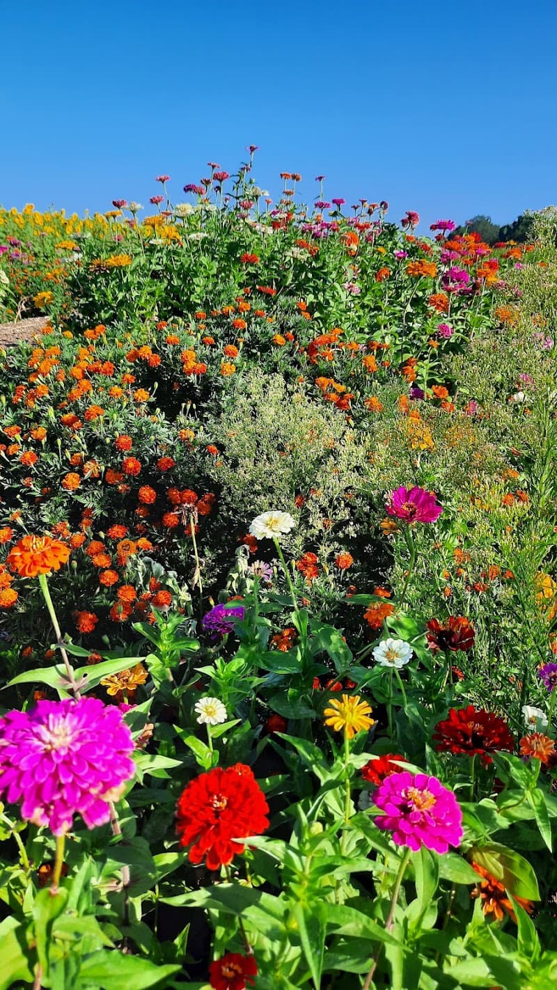 Greystone Disc Golf Course at Miller Farm Park photo 4